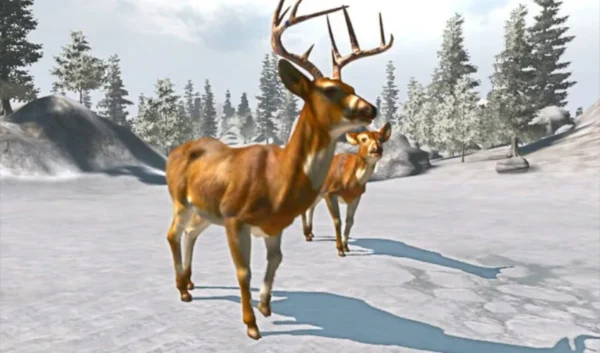 Imagen de cabecera del videojuego Cabela's Trophy Bucks