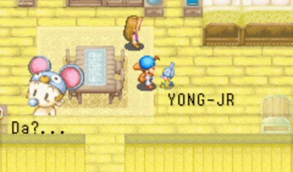 Imagen de cabecera del videojuego Harvest Moon: Friends of Mineral Town