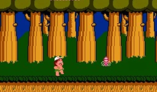 Imagen de cabecera del videojuego Hudson's Adventure Island